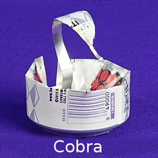 Cobra