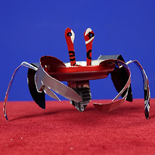 Crab