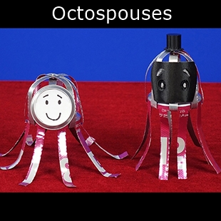 Octopus